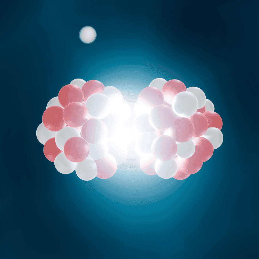 Physical Embodied Intelligence